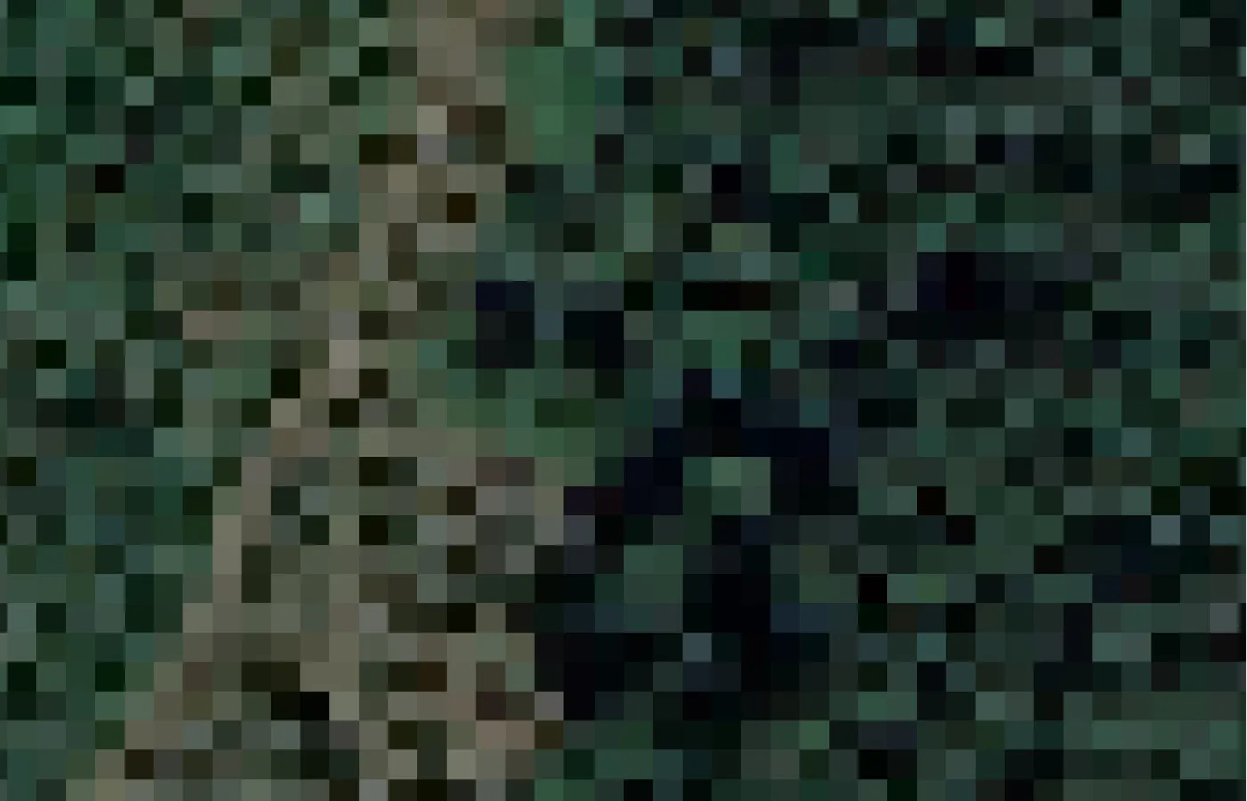 Satellite imagery of Dak Nong coffee growing region.