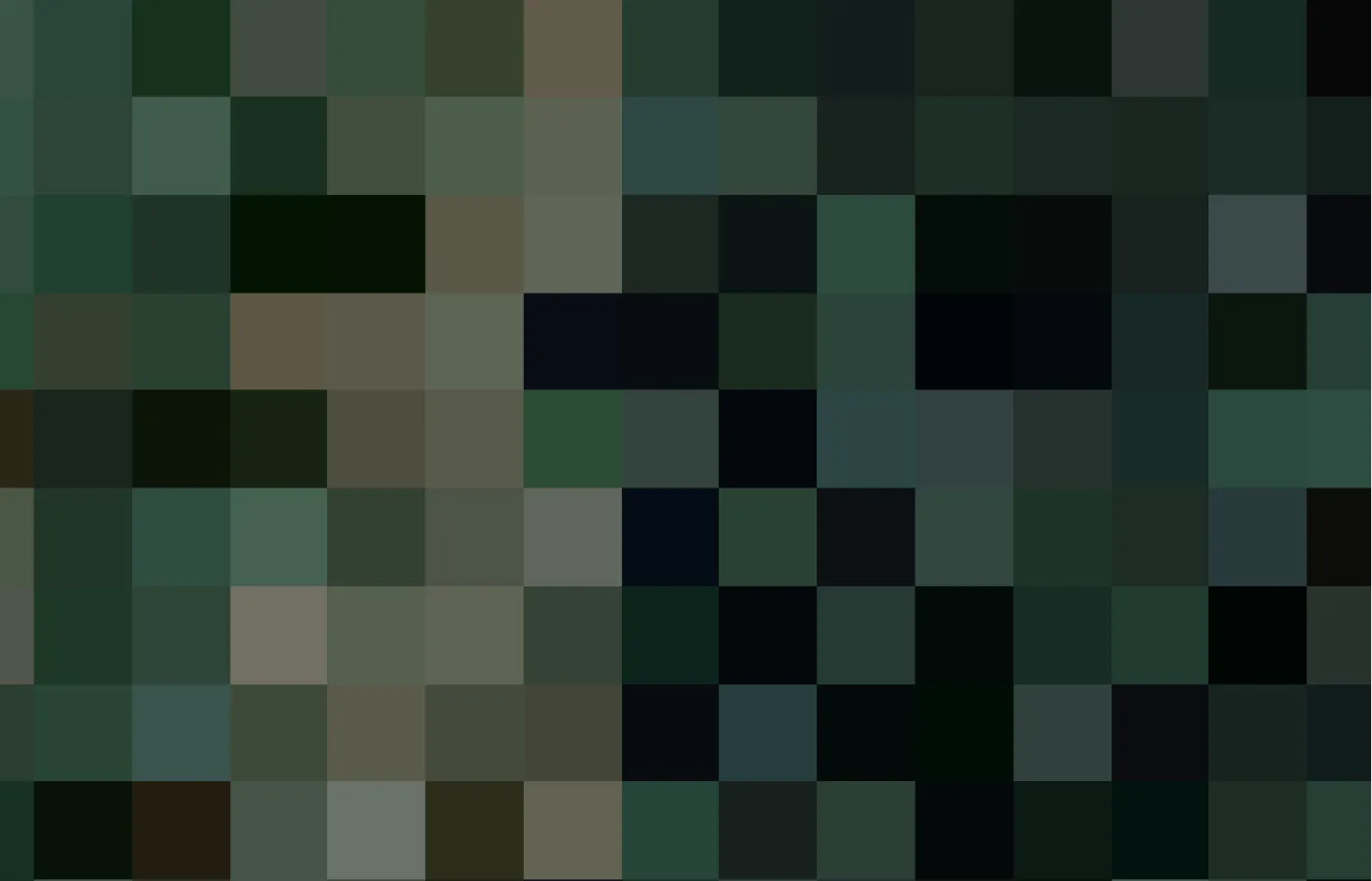 Satellite imagery of Dak Nong coffee growing region.