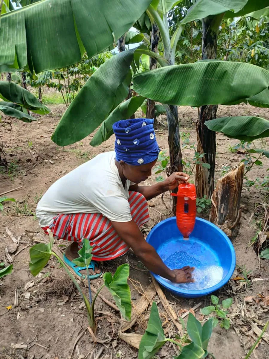 A farmer prepares a trap made with found materials