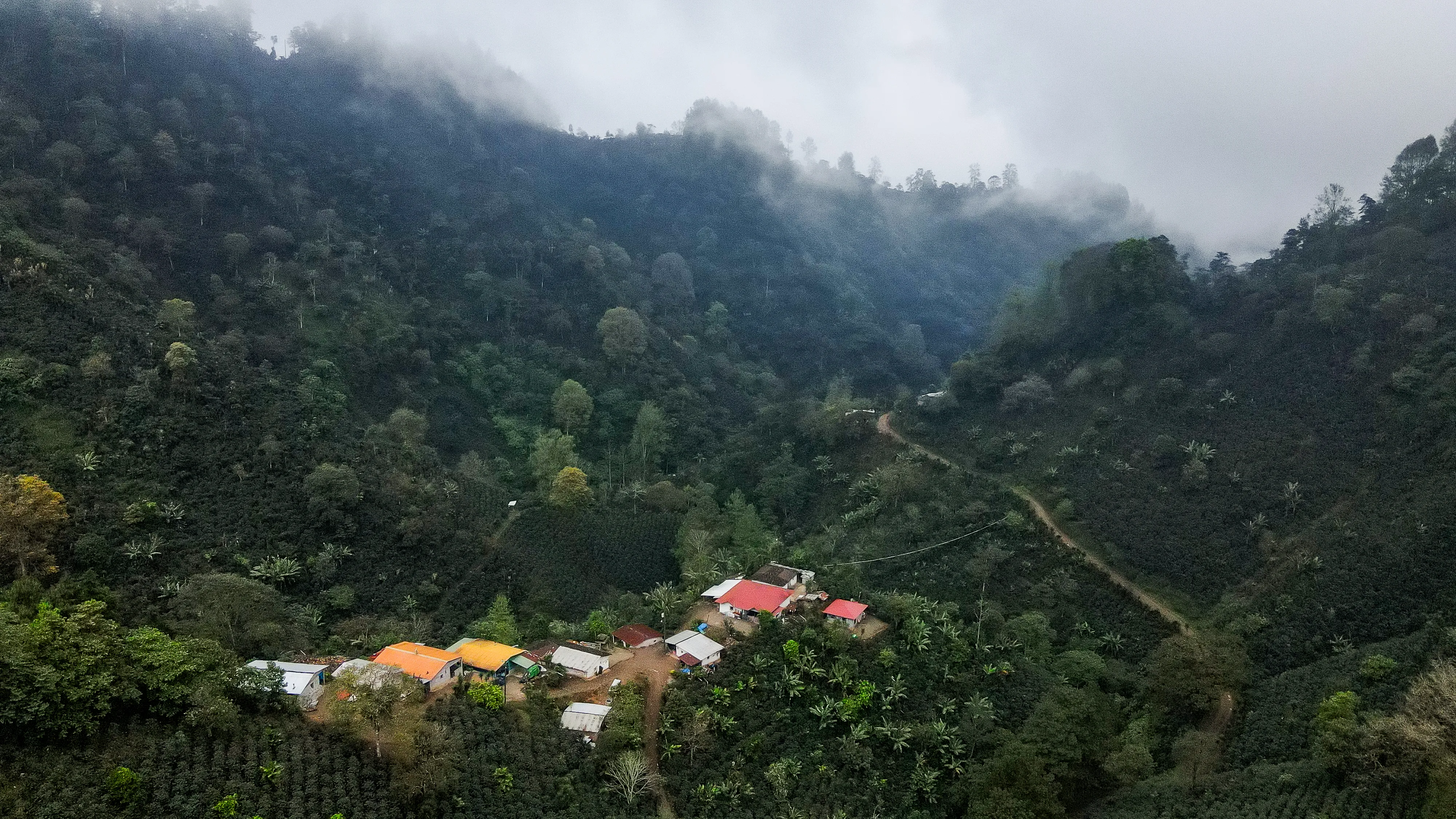 Rural coffee town aerial