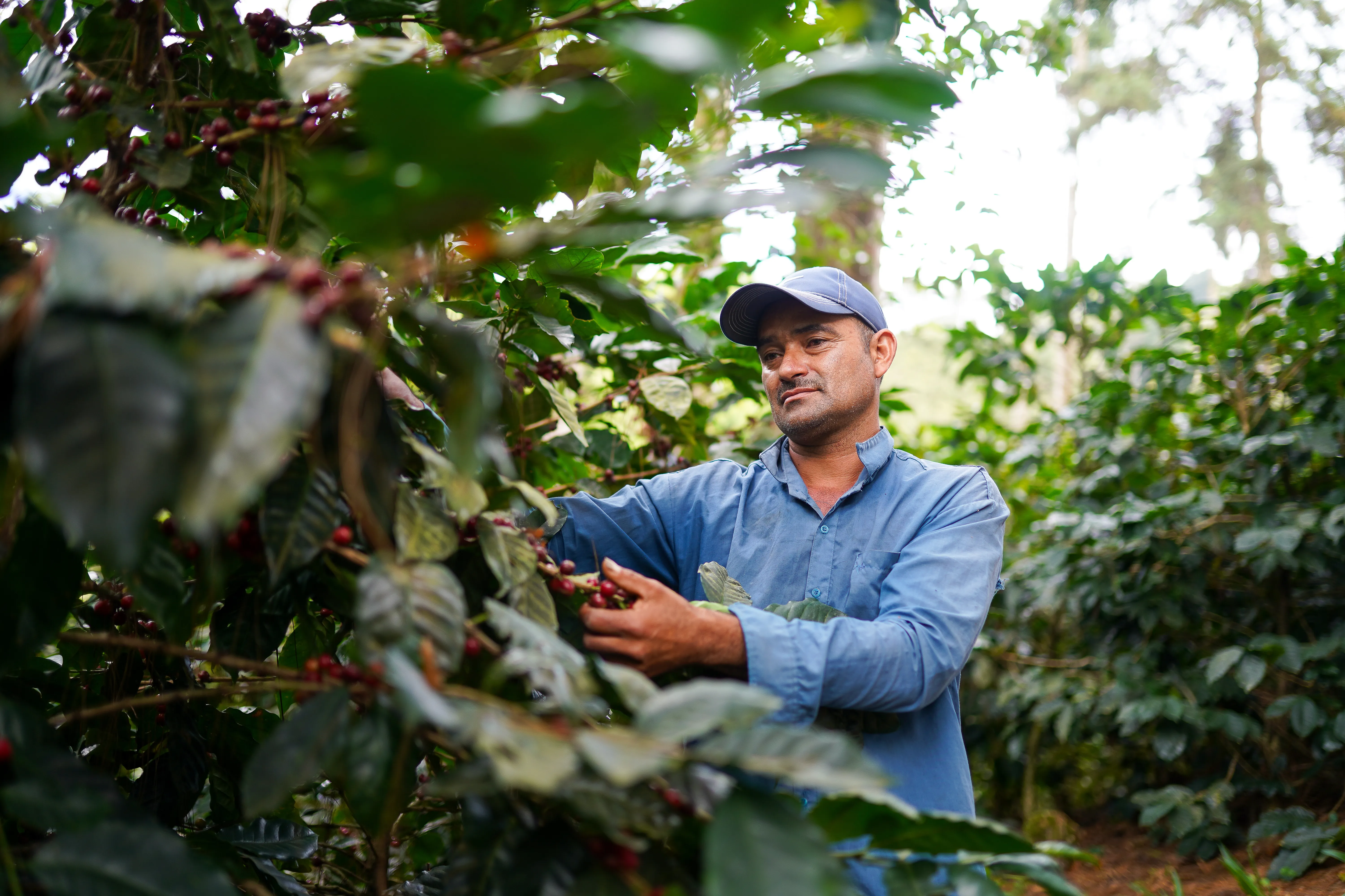 Responsible Sourcing Photo
