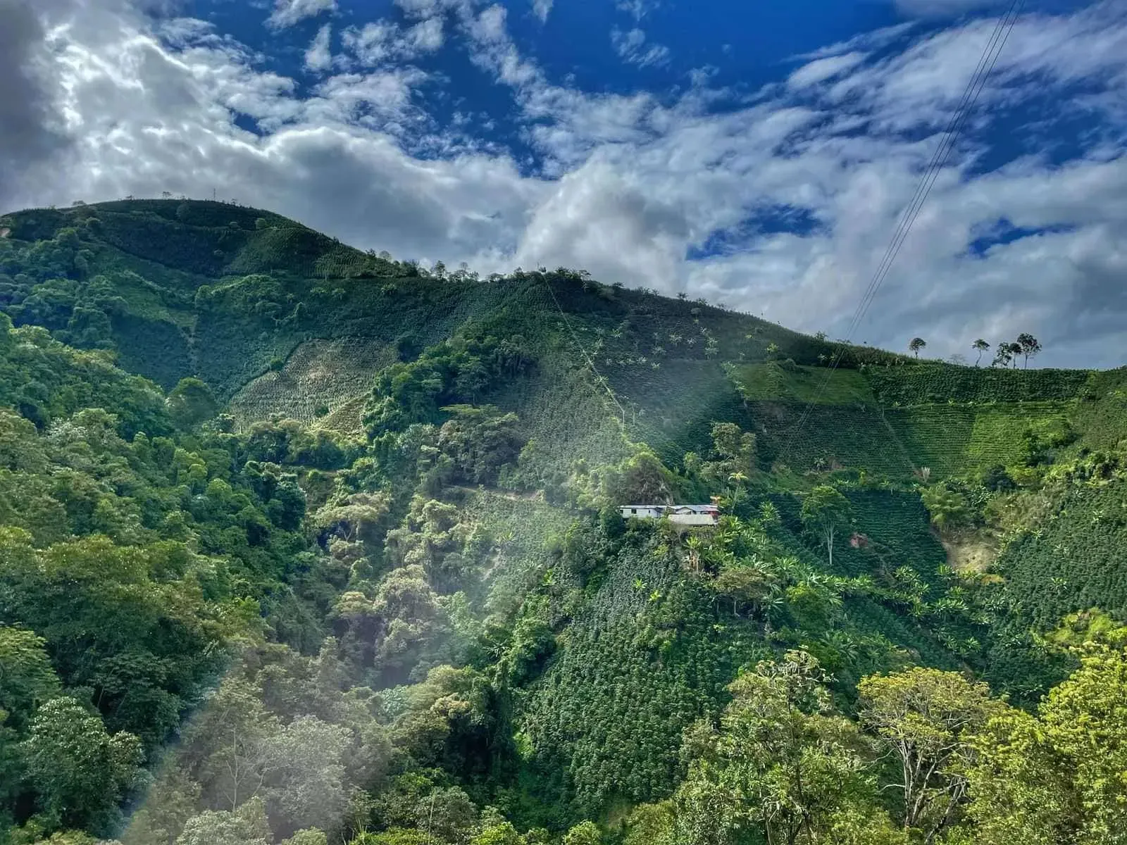Huila Coffee Region