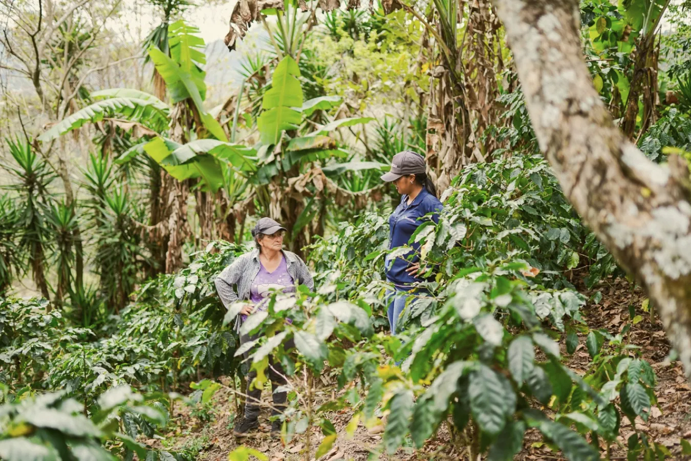 Farm visit in Honduras