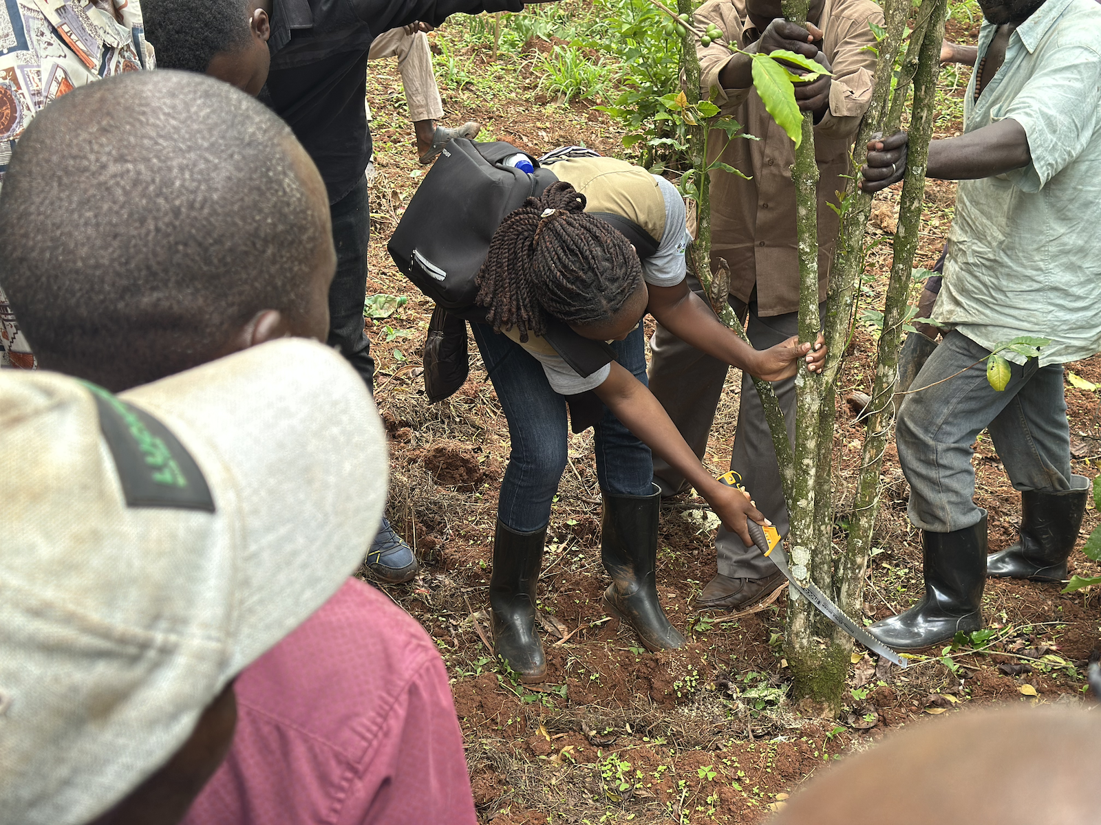 Field staff demonstrates stumping during a training in Uganda