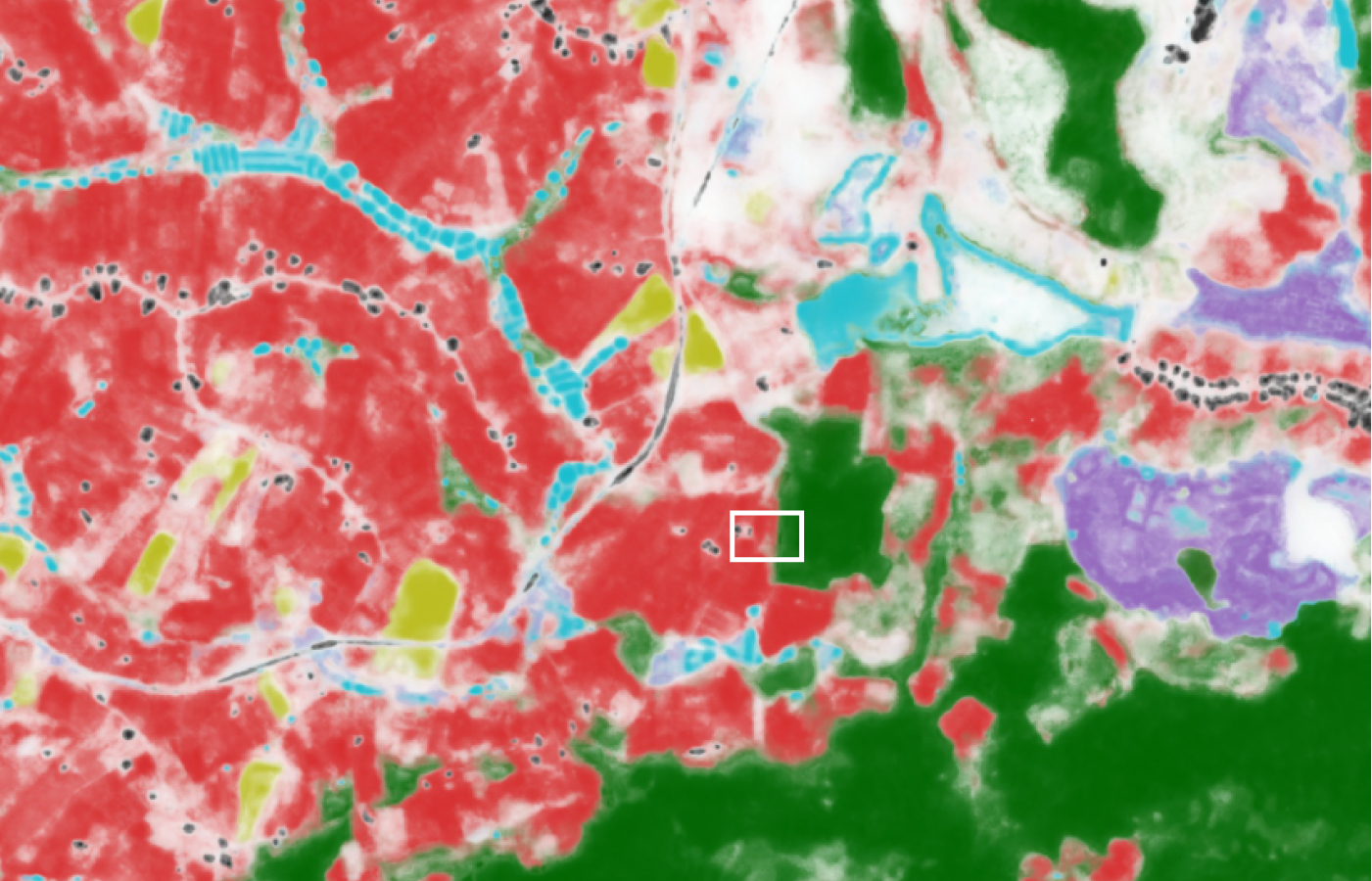 Enveritas crop detection model output downsampled to 2.5m to provide compatibility with land use map. White box depicts the location of the farm in the previous images.Enveritas