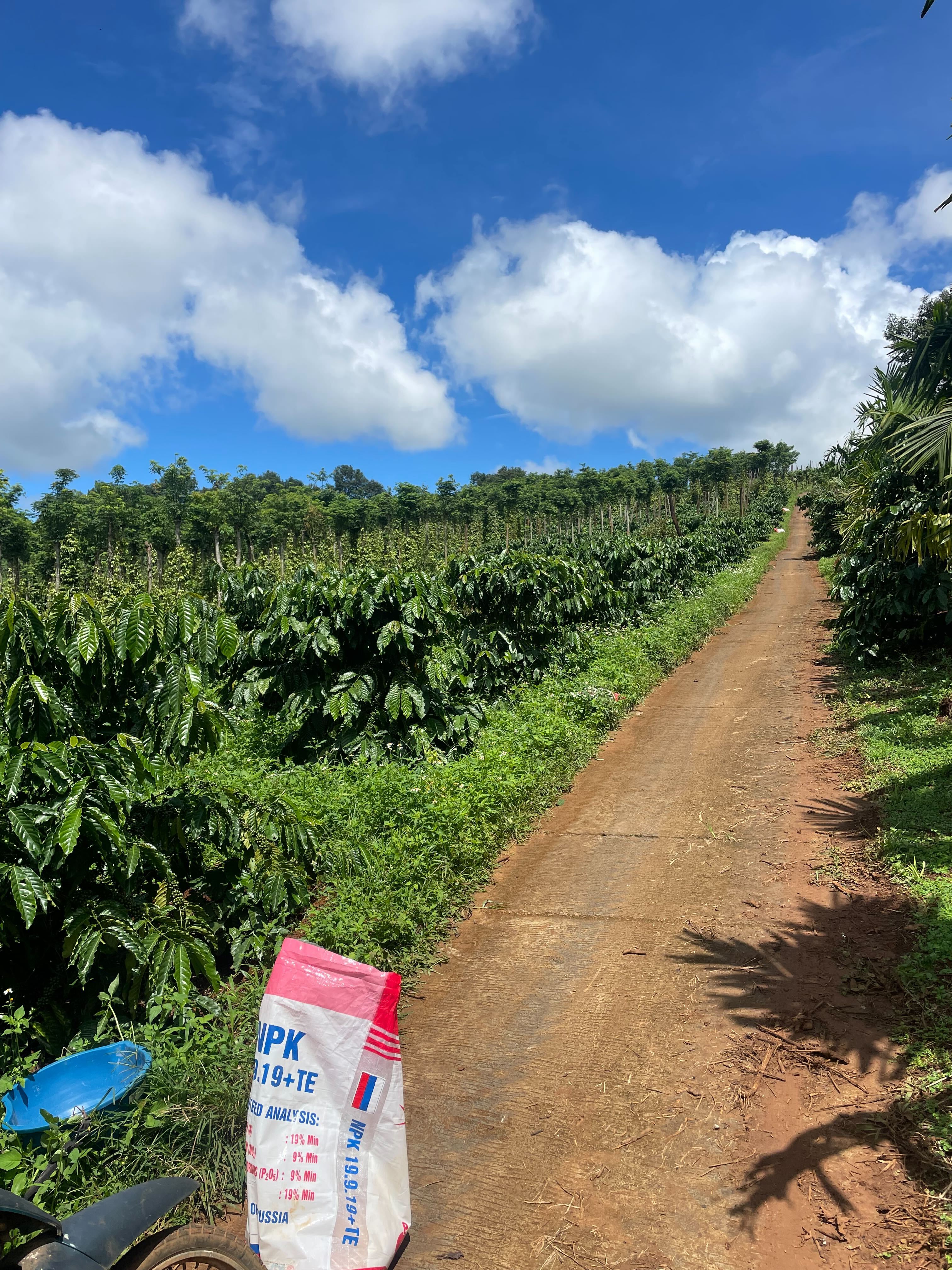 Fertilizer in use on a Vietnamese coffee farm