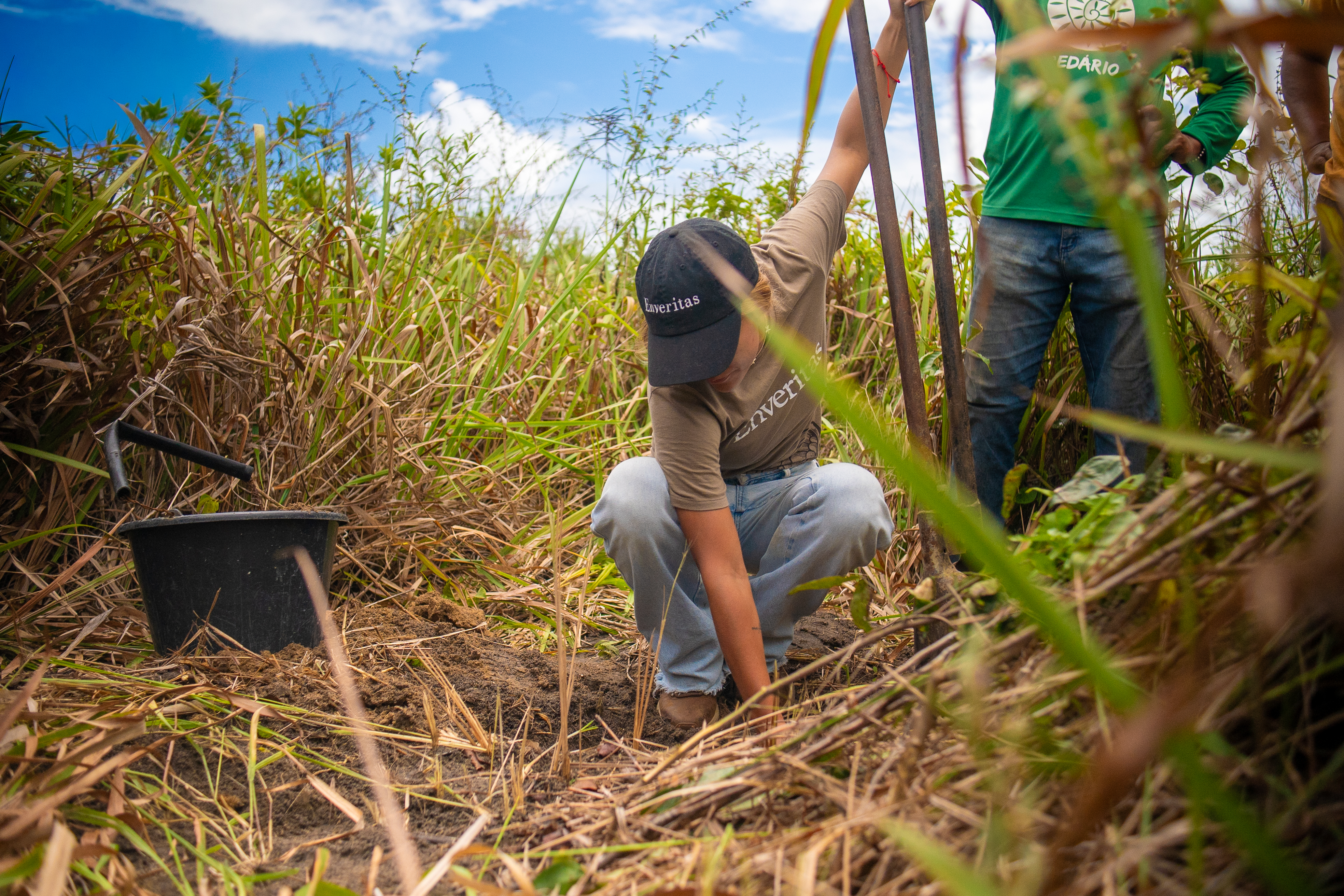 The soil is prepared for planting